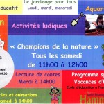hamma2